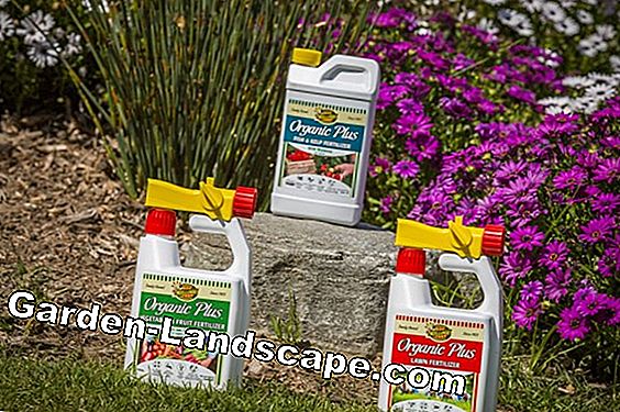 Organic fertilizer - advantages and disadvantages