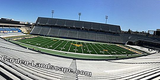 Sport turf - Tips for care: Mowing, fertilizing & Co.