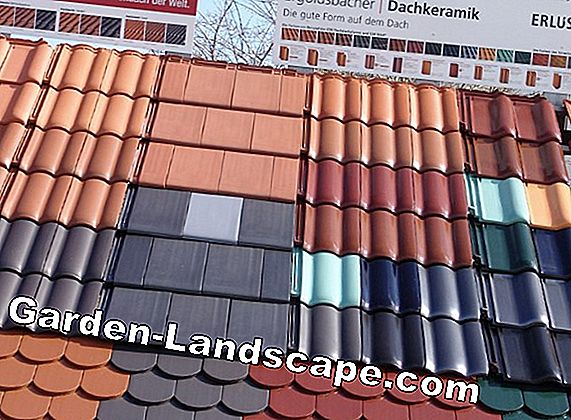 Other Erlus Roof Tiles 2021