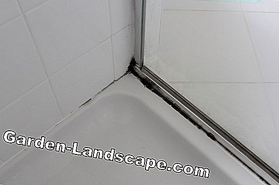 Remove tile joints and replace