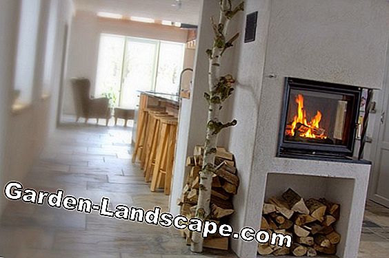 Other Water Bearing Fireplace Insert Costs Experiences 2020