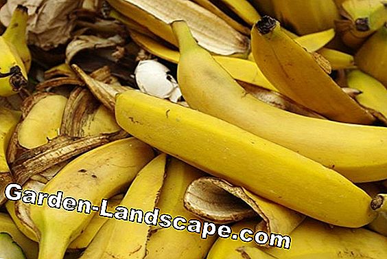 Produce fertilizantes naturales para el jardín