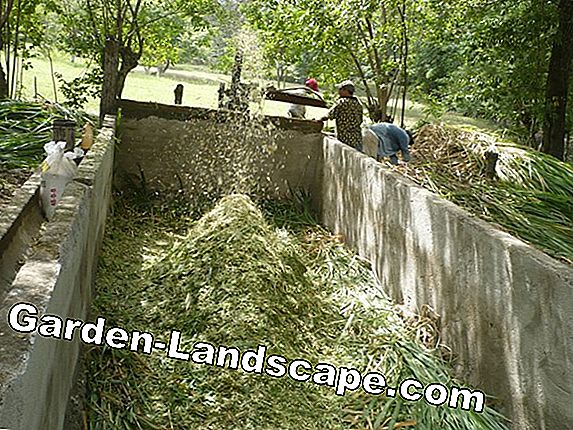 Bolsas de silos y bolsas silo para cubrir - ventajas y precios