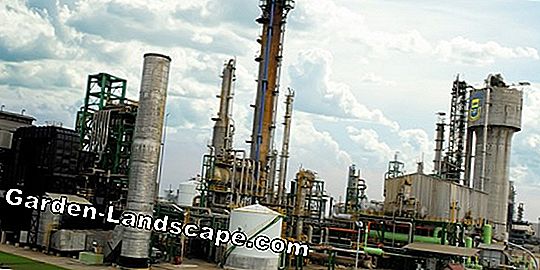 Pupuk blue-grain untuk rumput - direkomendasikan atau tidak?