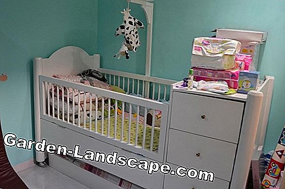 Buat dan desain tempat tidur teras