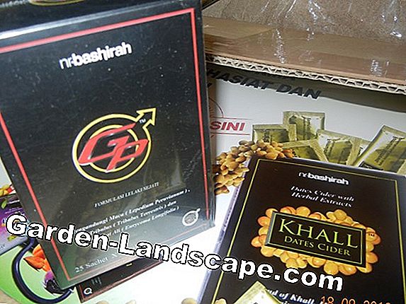 Cuka dan garam untuk gulma - apa yang membantu dan apa yang diperbolehkan?