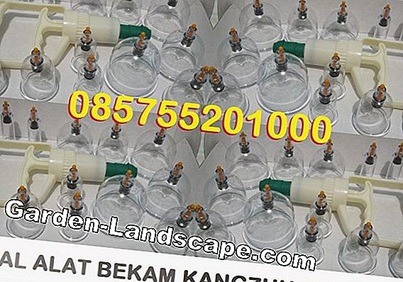 Tariklah tangkainya sendiri: Begitulah cara kerjanya