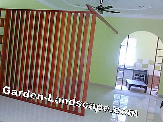 Kumbang kabinet, kumbang museum bertarung di apartemen
