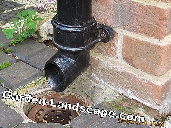 Drainpipe intasato - cosa aiuta?