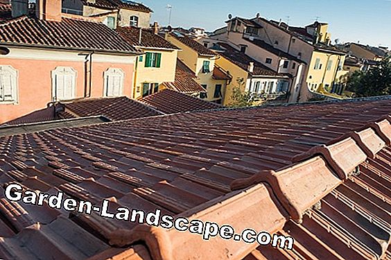 Prezzi per tegole in laterizio