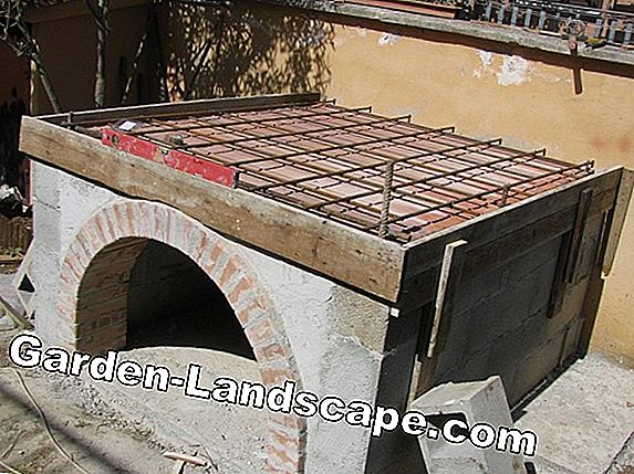 Pratica del giardino: Istruzioni per la costruzione di un forno (per  esterno) | 2022
