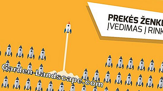 Kada turite iškirpti Dipladenia? Patarimai ir instrukcijos