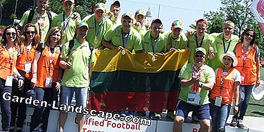 Futbolo aikštė -