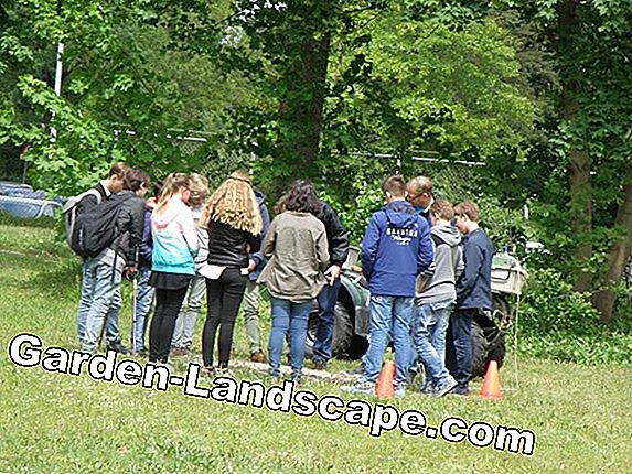 Bodem pH meten - instructies om te verlagen en te verhogen