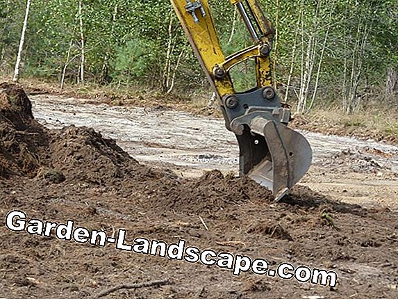 Bovengrond - definitie en prijzen