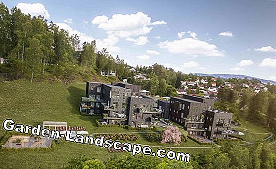 Hage design: 25 x hage før-etter
