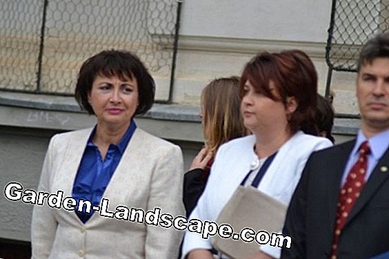 Genti de gunoi din plastic compostabil: Mai rau decat reputatia lor
