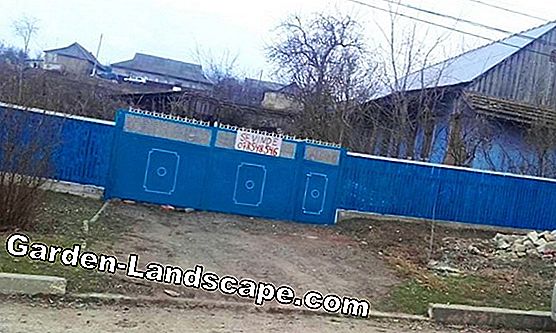 Uscați pereții și renovați pereții umedi