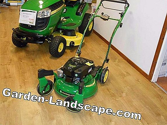 Mulching sparar tid och pengar