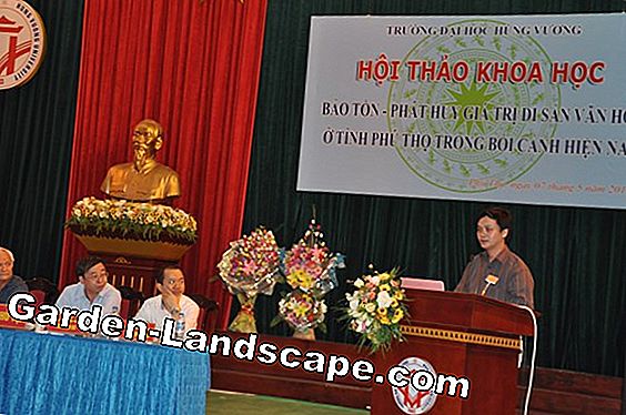Bảo tồn hoa hồng - hướng dẫn từng bước