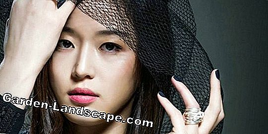 Nó không phải là quá muộn để gieo