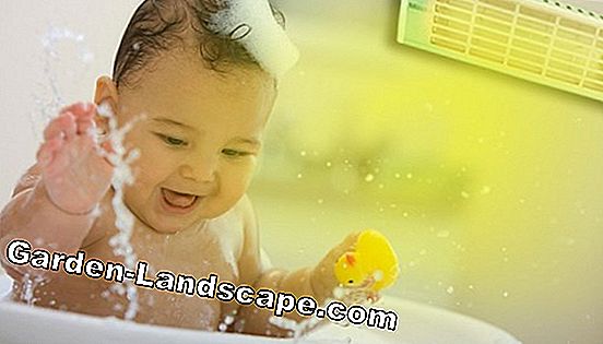 Bảo vệ mùa đông cho các nhà máy nồi