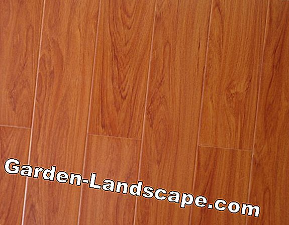Gỗ Bankirei - giá và sử dụng làm ván sàn
