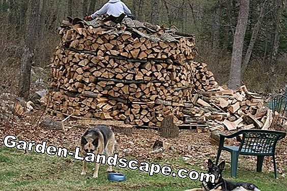 Stack firewood correctly - this is how you ensure sufficient air circulation