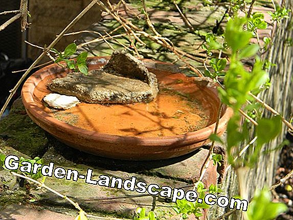 Tinker bird feeder from clay pot - It's so easy