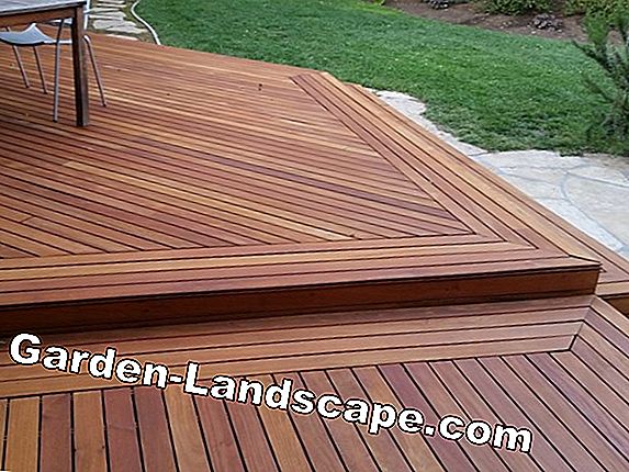 Cleaning decking boards from WPC - this is how the terrace retains its shine