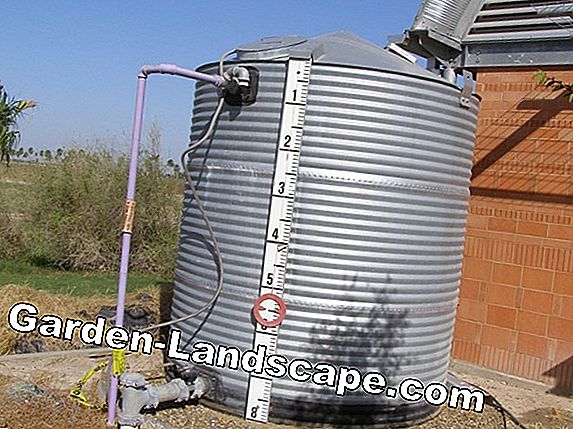 Benefits of a concrete rainwater cistern - prices