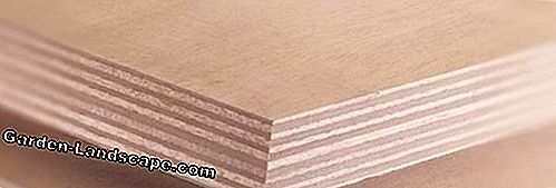 Okume - wood, parquet, profile