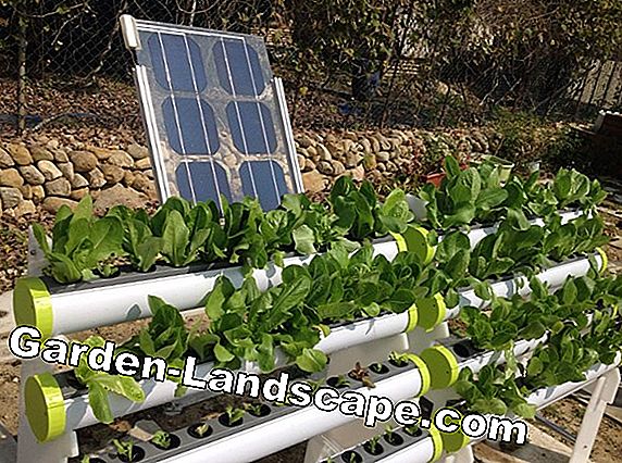 Solar system for garden house & gardens