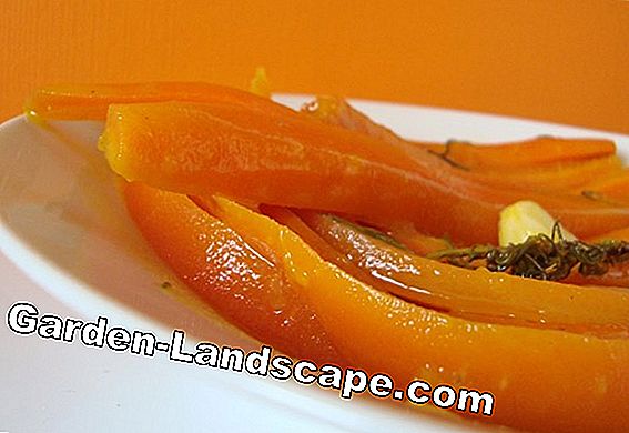 Zanahorias glaseadas - Así es como se hace