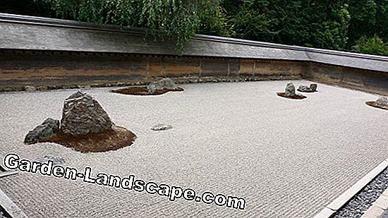El jardín de rocas japonés