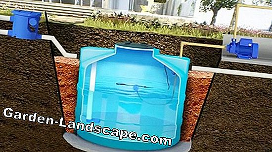 Tanque de agua de lluvia: ¿instalar sobre el suelo o bajo tierra?