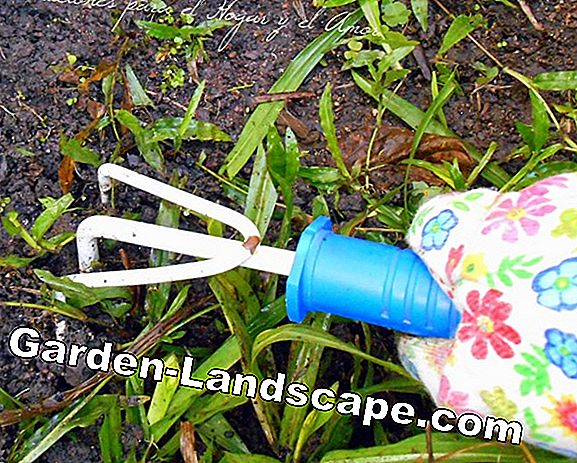 Combate las malas hierbas en el césped