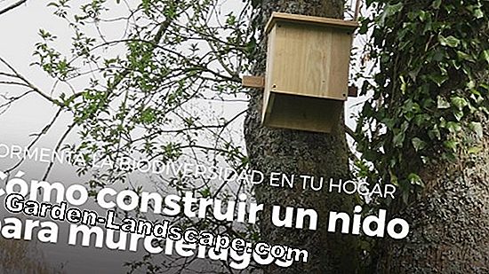 Construye un nidal para estorninos tú mismo - Instrucciones