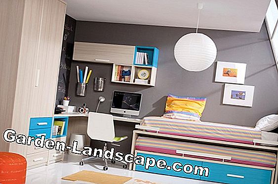 Diseño de color en habitaciones: elección del color, colores, diseño de interiores
