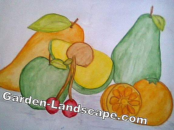 Pohon buah-buahan: lukisan terhadap celah-celah embun beku dan permainan gigitan