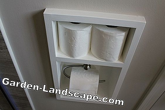 Toilet Holder Paper