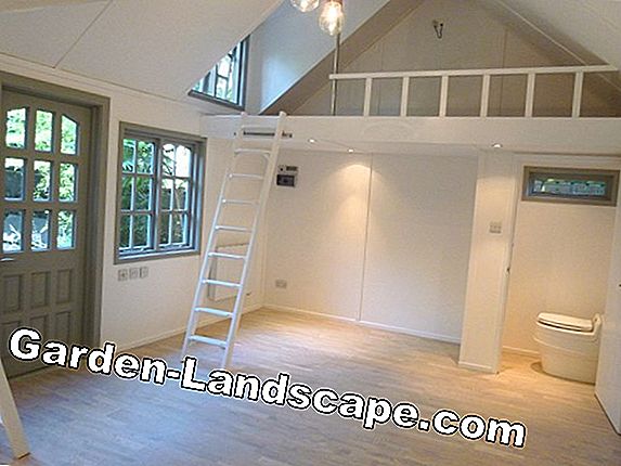 Insulate garden shed: ini adalah bagaimana Anda melindungi lantai, fasad, dan atap