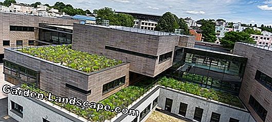 Greening the roof garage - istruzioni passo passo