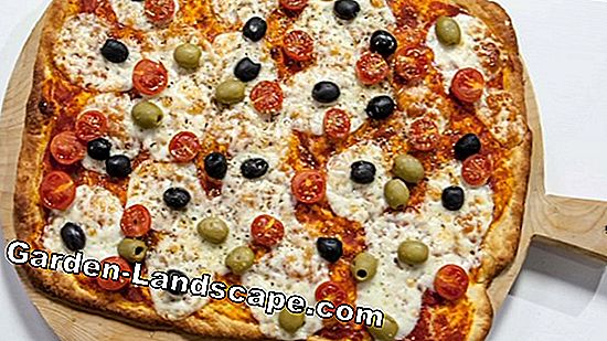 Pizza di patate con olive e origano