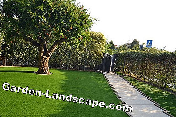 Stile di vita tutto sulla disposizione e la progettazione del ... Posa erba sintetica su terrazzo