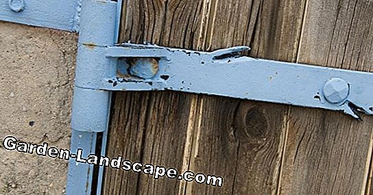 Instructies: Paint garden fence - Zo geef je je hek een nieuwe look