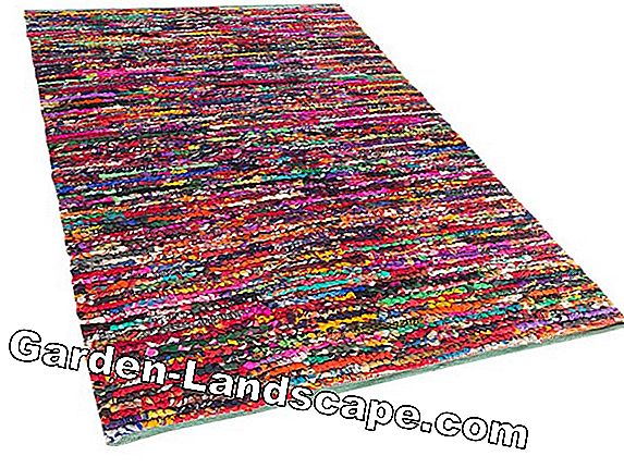 Voor herbeplanting: een kleurrijk tapijt van voorjaarsbloeiers