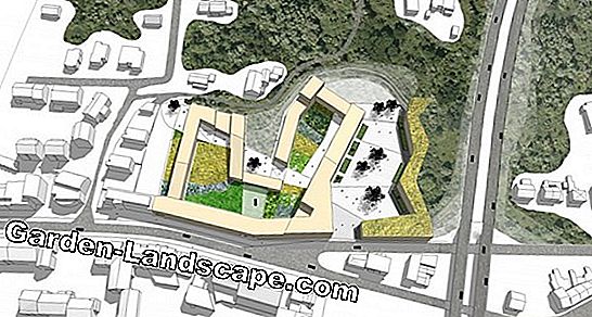 Plan terrasvormige tuin, maak en ontwerp