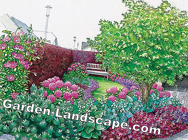 Otro: Diseño De Jardín Frontal: 40 Ideas Para Imitar - Mi Hermoso