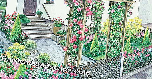 En bakgård: romantisk eller rustikk